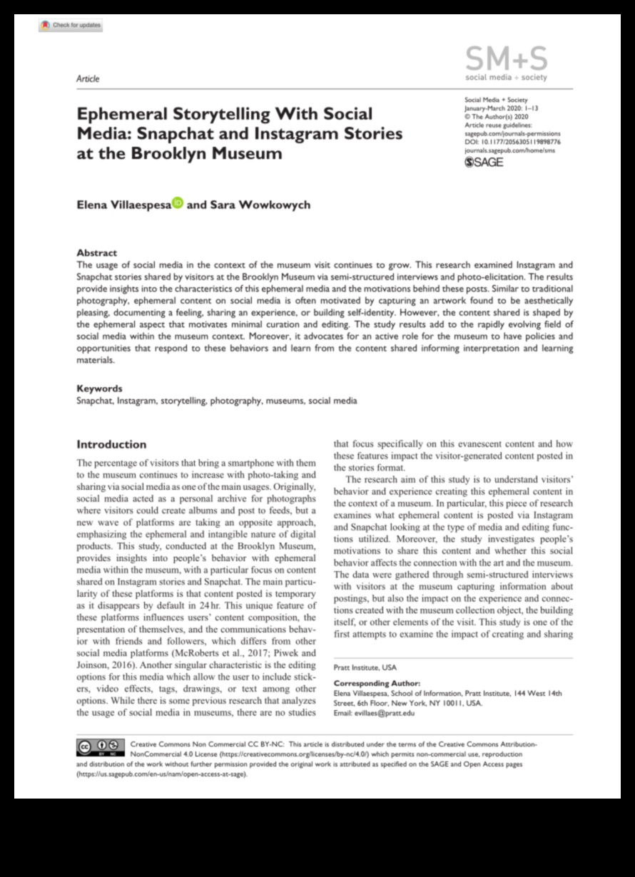 Snapchat Symphony Un curs de master în poveste efemeră 2 Snapchat Symphony: Stăpânirea artei povestirii efemere