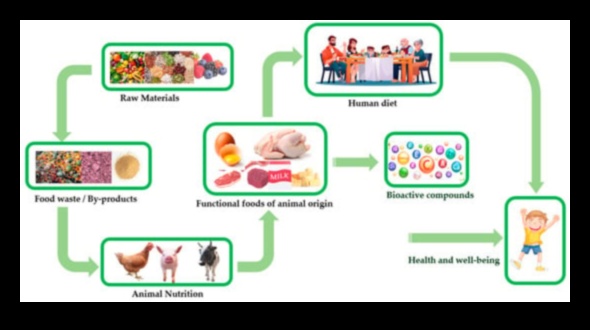 Știința armoniei celulare Cum biochimia nutrițională promovează sănătatea optimă 4 Armonia celulară: simbioza biochimiei și sănătății nutriționale