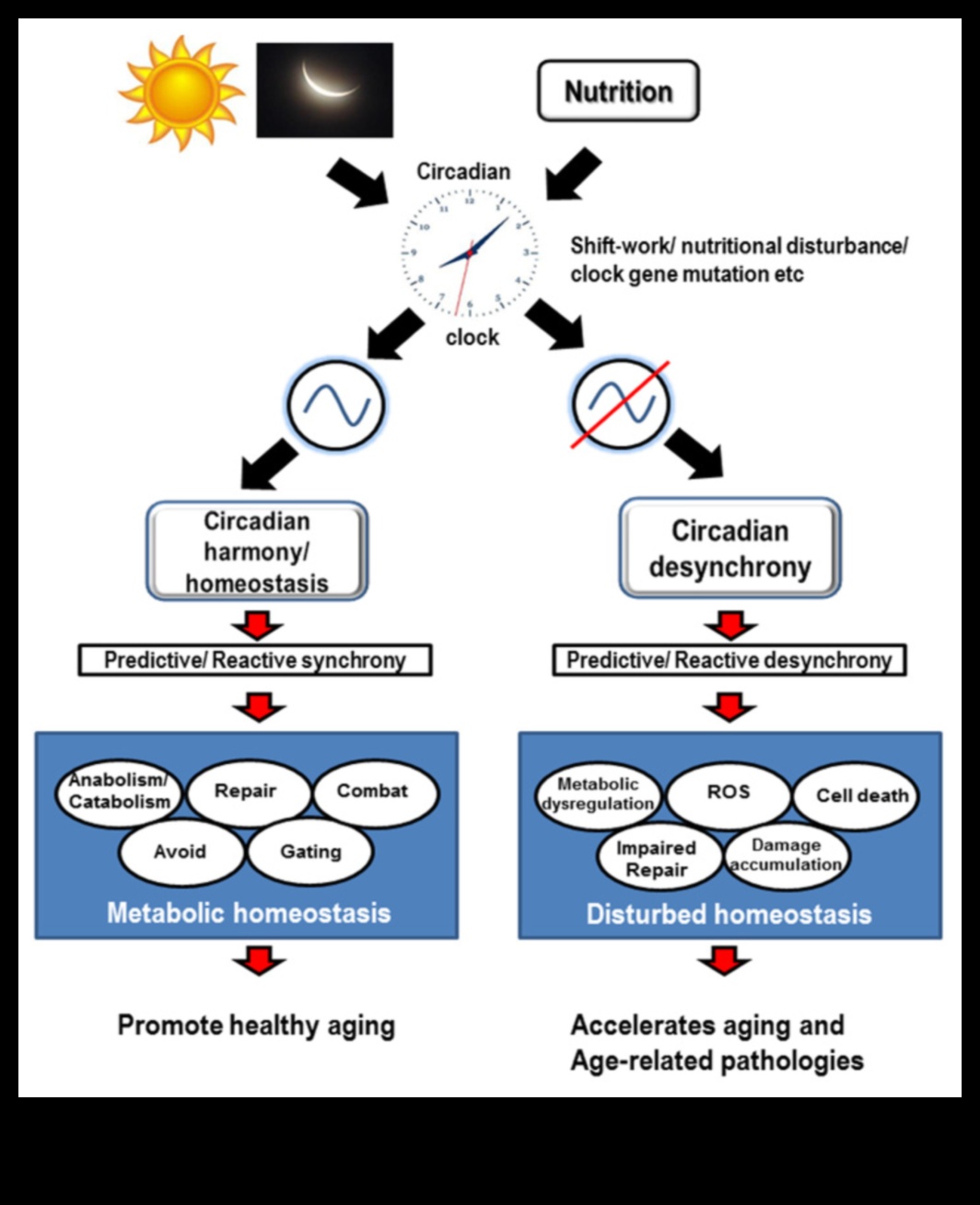 Știința armoniei celulare Cum biochimia nutrițională promovează sănătatea optimă 2 Armonia celulară: simbioza biochimiei și sănătății nutriționale
