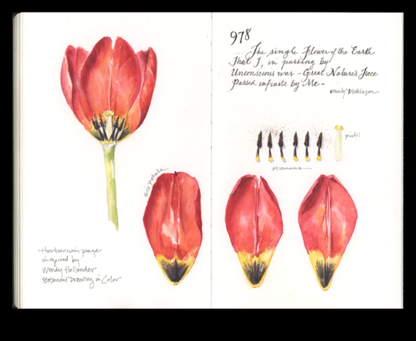 Frumusețea preciziei creând artă științifică detaliată și precisă 4 Frumusețea preciziei: crearea artei științifice detaliate și precise