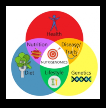 Revoluția genetică Cum transformă nutrigenomica sănătatea personalizată 3 Revoluția genetică: nutrigenomică și sănătate personalizată
