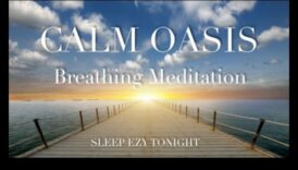 Oaza de liniște: deblocarea reducerii stresului prin meditația zilnică