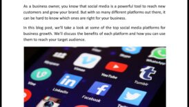 Top 5 platforme de social media pentru creșterea afacerilor