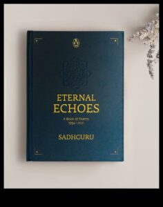 Ecouri eterne: o meditație cuprinzătoare