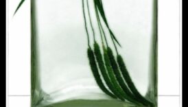 Serenitatea liniștii Desenând obiecte în alcatuire 6 Serenitatea liniștii: Desenarea obiectelor în repaus