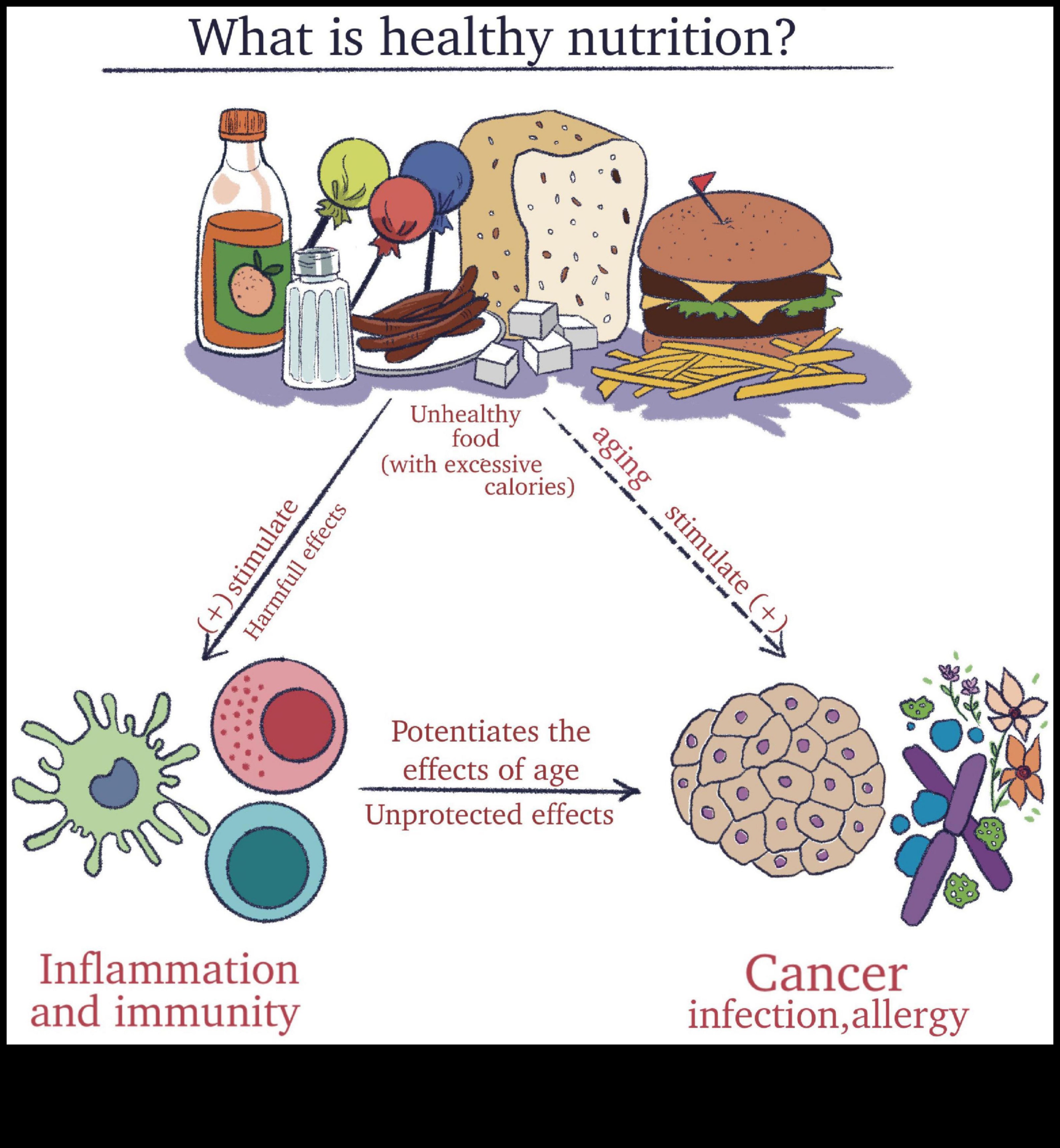 Știința armoniei celulare Cum promovează biochimia nutrițională sănătatea optimă 1 Armonia celulară: simbioza biochimiei și sănătății nutriționale